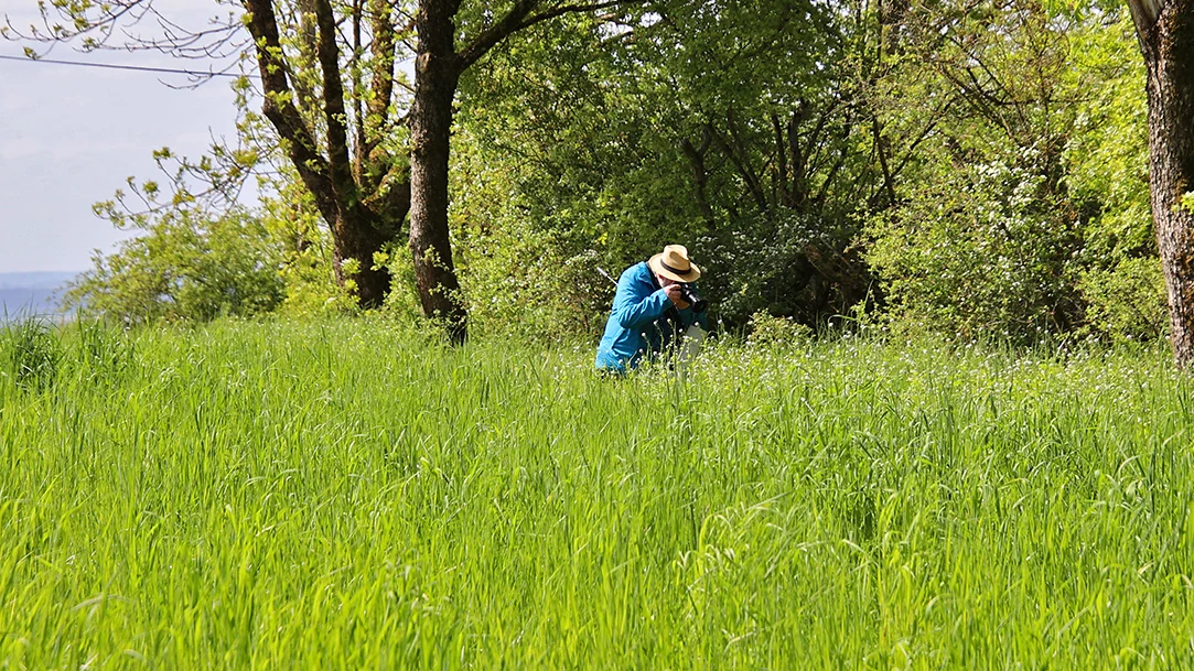 Ein VSL-Mitglied fotografiert inmitten einer Wiese.